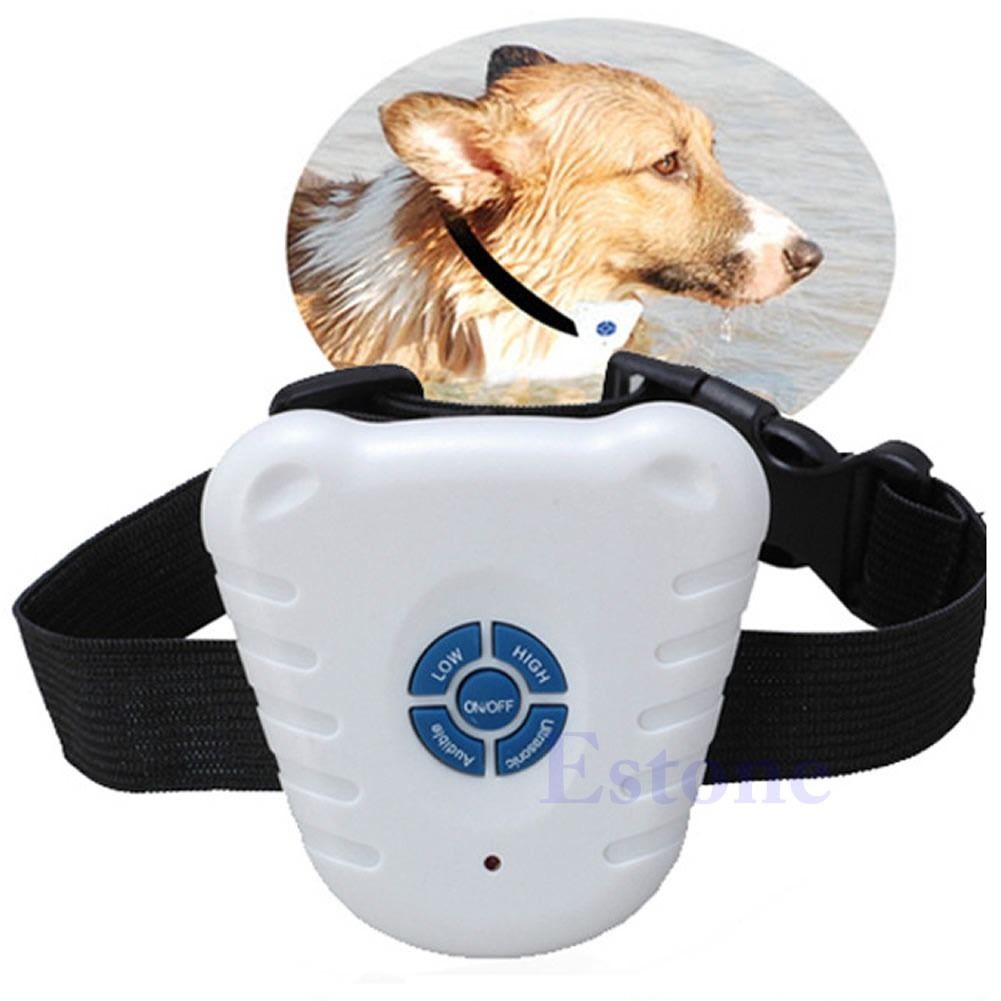 Ultrasonique collier anti aboiement petit chien Collier dressage chien