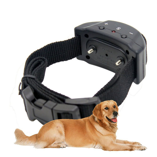 Automatique Anti-Aboiement pour Chien Collier de Dressage chien