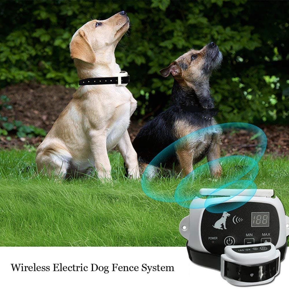 Clôture Anti Fugue Electronique sans fil pour Chien avec 2 colliers