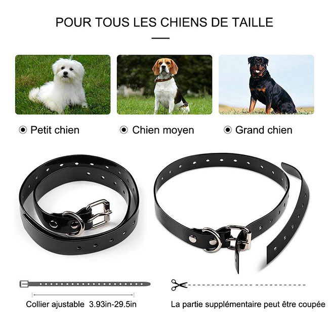 Collier dressage chien 600 mètres imperméable et rechargeable pour 3 chiens