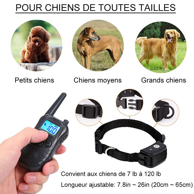 Collier dressage chien télécommande imperméable et rechargeable 300m Anti Aboiement