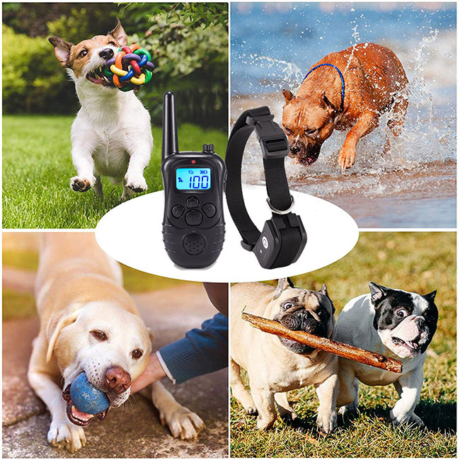 Collier dressage chien télécommande imperméable et rechargeable 300m Anti Aboiement