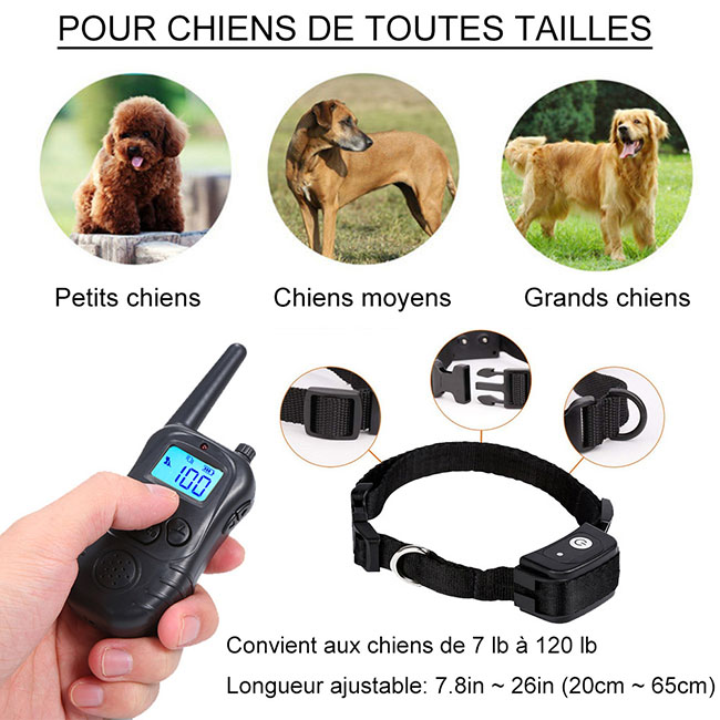Collier dressage chien télécommande imperméable et rechargeable 300m Anti Aboiement pour 2 chiens