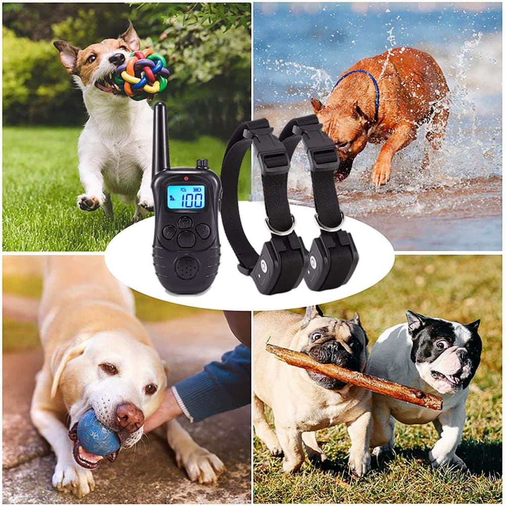 Collier dressage chien télécommande imperméable et rechargeable 300m Anti Aboiement pour 2 chiens