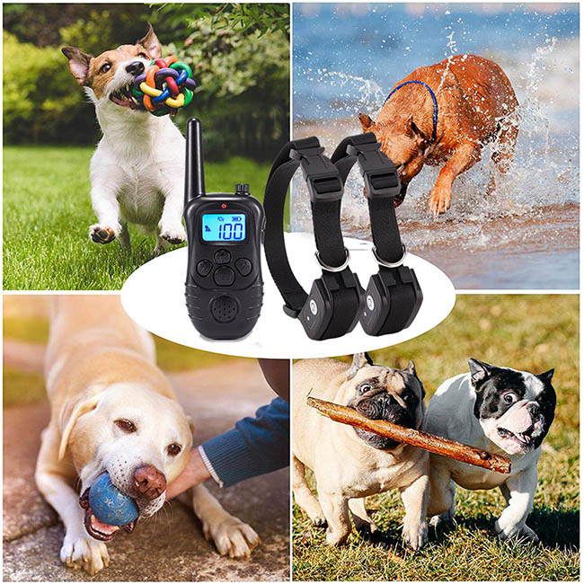 Collier dressage chien télécommande imperméable et rechargeable 300m Anti Aboiement pour 2 chiens