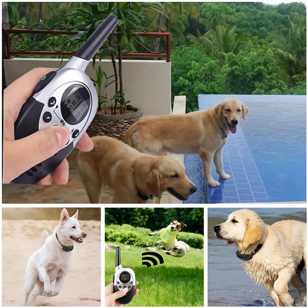 Collier dressage chien électrique rechargeable et étanche 1000m Anti Aboiement Ceinture TPU réglable