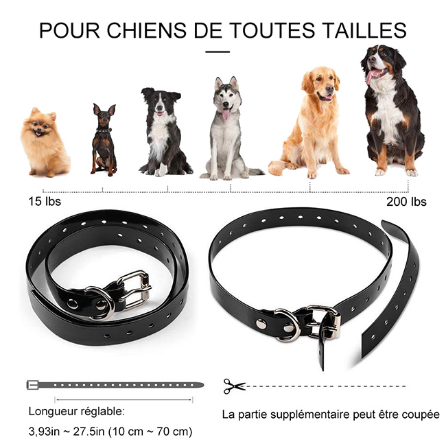 Collier dressage chien télécommande imperméable et rechargeable 300m Ceinture TPU réglable