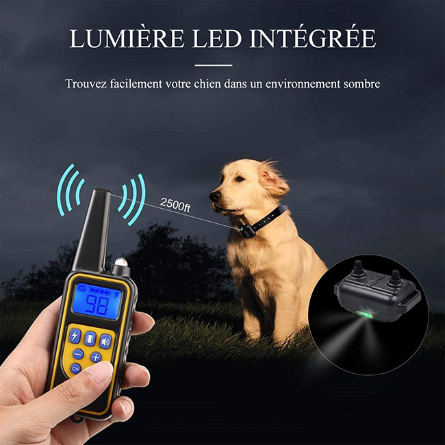 Collier dressage chien imperméable et rechargeable 800m Anti Aboiement