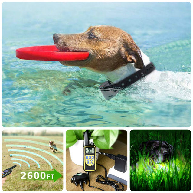 Collier dressage chien imperméable et rechargeable 800m Anti Aboiement