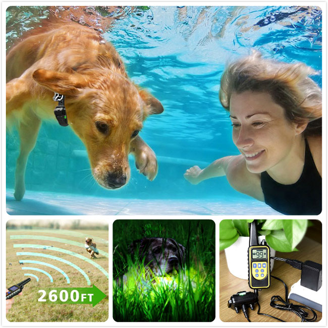 Collier dressage chien imperméable et rechargeable 800m Anti Aboiement pour 3 chiens
